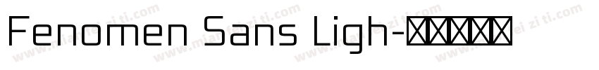 Fenomen Sans Ligh字体转换